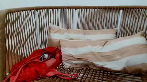 Under  Huge cock with beautiful uncut foreskin online show from 01/16/25, 08:57