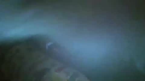 unicorn765vcxv online show from 06/21/26, 01:41