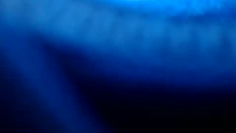 Snapshot of urasian_pinayjessaxxx chatting on 07/08/26, 07:13 urasian_pinayjessaxxx online show from 07/08/26, 07:13