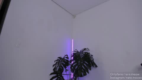    online show from 04/29/26, 05:55