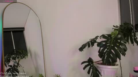    online show from 08/01/26, 01:27