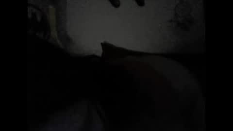 Valeria online show from 02/15/25, 06:55