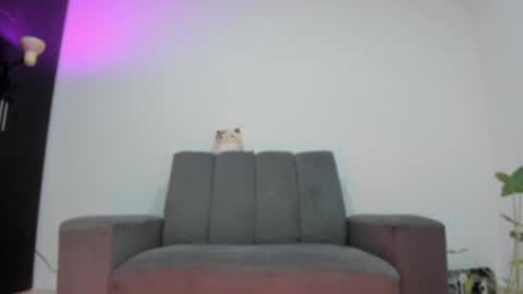 Babi Alu online show from 05/25/26, 09:48