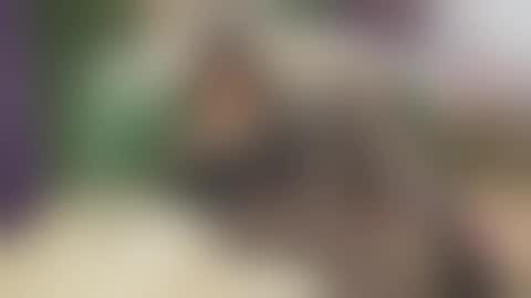 Vanessa online show from 09/25/25, 06:06