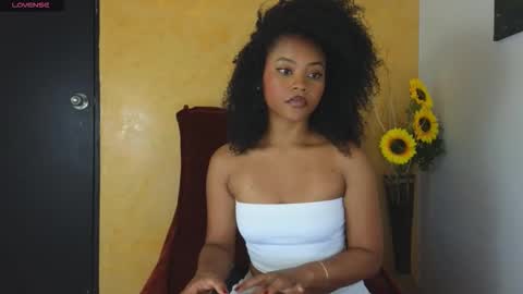 Snapshot of vanestrauss chatting on 11/11/25, 07:47 New account follow me online show from 11/11/25, 07:47