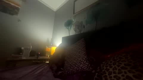 Snapshot of vaua089 chatting on 09/25/25, 05:33 vaua089 online show from 09/25/25, 05:33