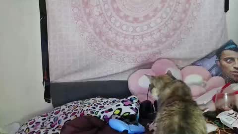 Snapshot of veelehanex3 chatting on 12/10/24, 07:05 Veronica Lehane online show from 12/10/24, 07:05