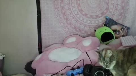 Snapshot of veelehanex3 chatting on 01/09/25, 07:10 Veronica Lehane online show from 01/09/25, 07:10