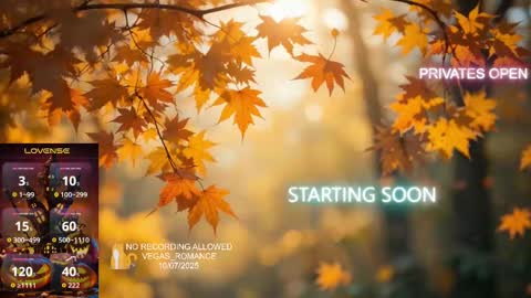 vegas_romance online show from 10/08/25, 01:36