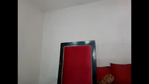 velk_hot1 online show from 02/26/25, 06:54