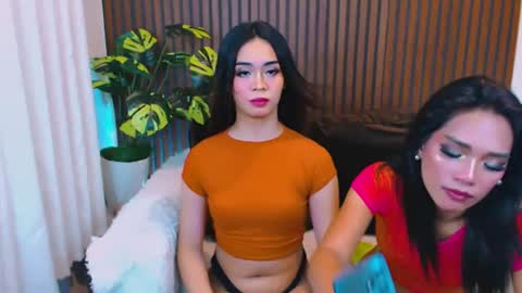 Velvet online show from 07/25/26, 09:40