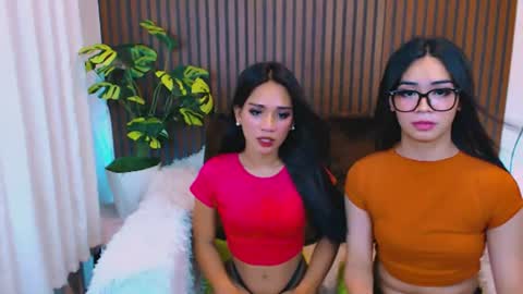 Velvet online show from 07/28/26, 11:17