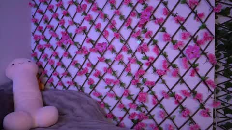 Polly online show from 11/07/25, 06:19