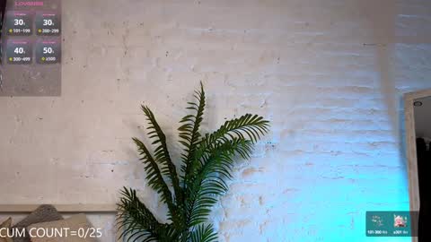 CLEOshort hair  TIna long hair  online show from 02/04/25, 05:45