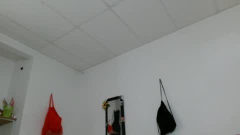 venecasexy44 online show from 07/08/26, 02:10