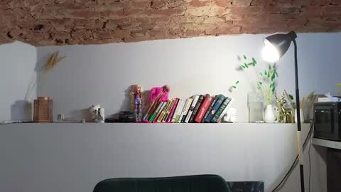 VENERA  online show from 11/22/25, 07:18