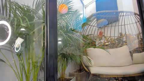 Snapshot of venus_flame chatting on 11/20/25, 11:43 VENUS online show from 11/20/25, 11:43