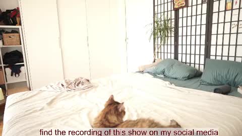 Bella online show from 07/28/26, 11:17