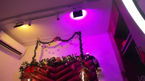    online show from 12/31/24, 12:25