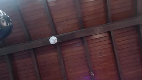 Venus Evans online show from 02/12/25, 02:56