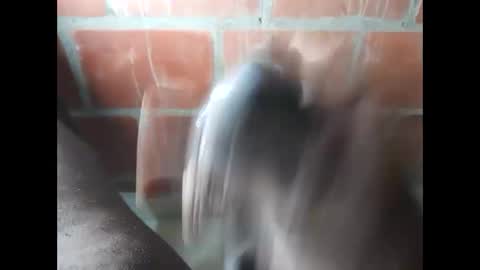 ver_gonblack online show from 09/25/25, 11:52