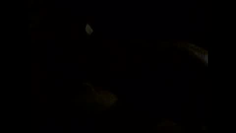 Im DanielVerdo  25 years old Lets have Fun and just ask what wanne know   tnew anal bigock cum  slave  fullnaked online show from 06/07/26, 02:16
