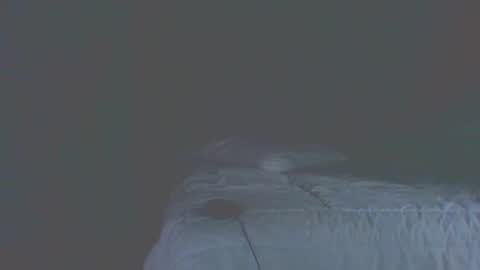 vergagolosa22 online show from 11/20/25, 07:02