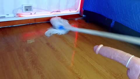 Snapshot of verhona_vlad chatting on 02/26/25, 03:08 verhona_vlad online show from 02/26/25, 03:08