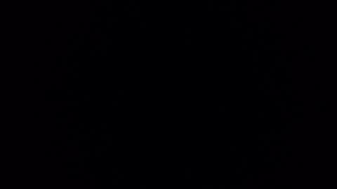 Snapshot of verhona_vlad chatting on 02/28/25, 12:20 verhona_vlad online show from 02/28/25, 12:20