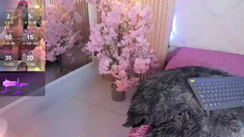 veronica_hill_ online show from 06/18/26, 03:18
