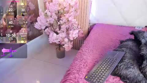 veronica_hill_ online show from 06/24/26, 03:05
