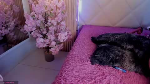 veronica_hill_ online show from 07/01/26, 02:57