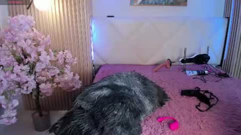 veronica_hill_ online show from 07/29/26, 03:15