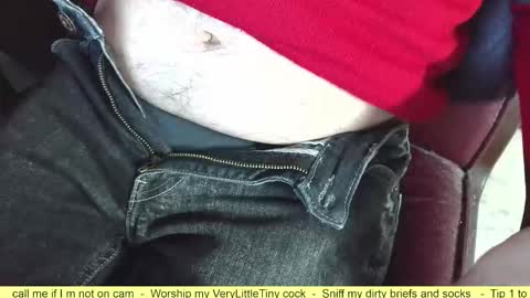 Snapshot of verylittletiny chatting on 10/02/25, 06:15 Erik online show from 10/02/25, 06:15