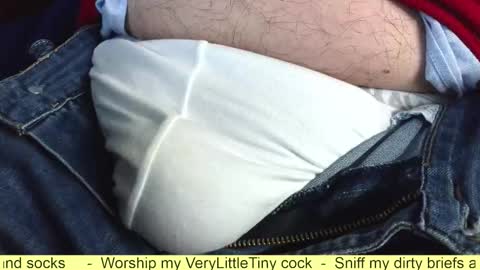 Snapshot of verylittletiny chatting on 10/20/25, 06:36 Erik online show from 10/20/25, 06:36