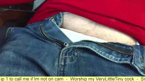 Snapshot of verylittletiny chatting on 10/25/25, 08:11 Erik online show from 10/25/25, 08:11