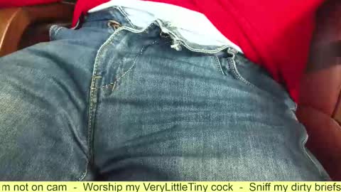 Snapshot of verylittletiny chatting on 10/28/25, 07:56 Erik online show from 10/28/25, 07:56