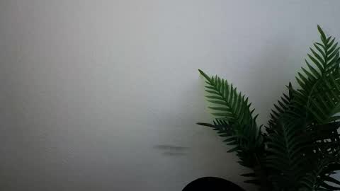 Snapshot of veryveryshygirl chatting on 09/30/25, 12:10 Ana online show from 09/30/25, 12:10