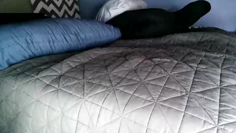 Snapshot of vexnew chatting on 11/02/25, 08:00 Vexnew online show from 11/02/25, 08:00