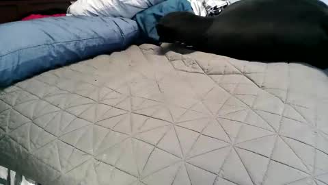 Snapshot of vexnew chatting on 11/04/25, 06:51 Vexnew online show from 11/04/25, 06:51