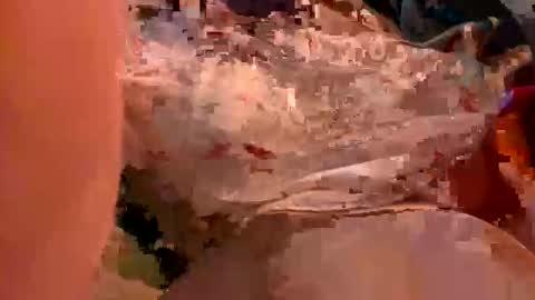 nova online show from 10/23/25, 02:33