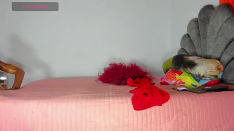 Snapshot of vicky_hotteei chatting on 05/01/26, 08:30 vicky manuela online show from 05/01/26, 08:30