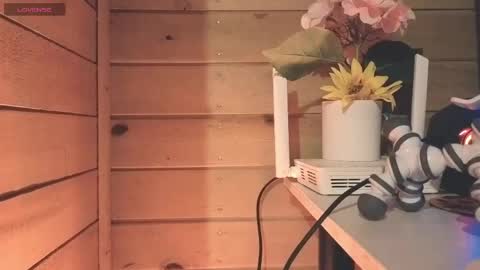 vickyvalencia2 online show from 05/25/26, 03:23