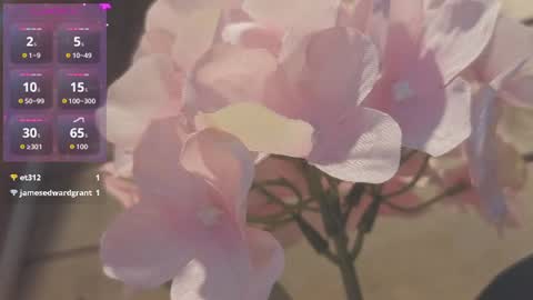 vickyvalencia2 online show from 07/09/26, 01:09