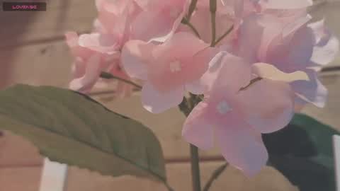 vickyvalencia2 online show from 07/19/26, 12:25
