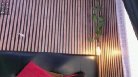 Snapshot of victoria__ponce chatting on 10/21/25, 07:25 victorira online show from 10/21/25, 07:25