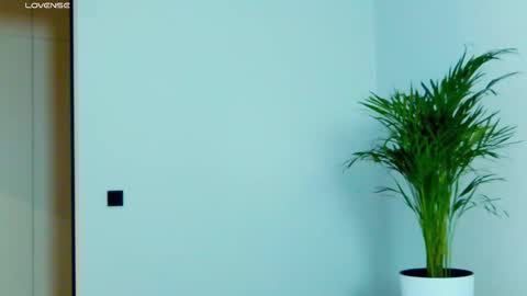 Miss V online show from 11/27/25, 06:15