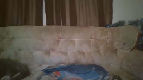 vids1977 online show from 10/23/25, 08:24