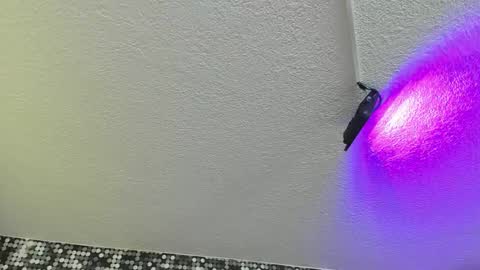 Snapshot of viiolett_lee chatting on 09/17/25, 04:19 Viiolett online show from 09/17/25, 04:19