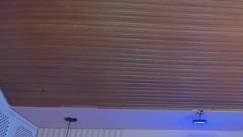 Snapshot of viiolett_lee chatting on 10/01/25, 08:26 Viiolett online show from 10/01/25, 08:26